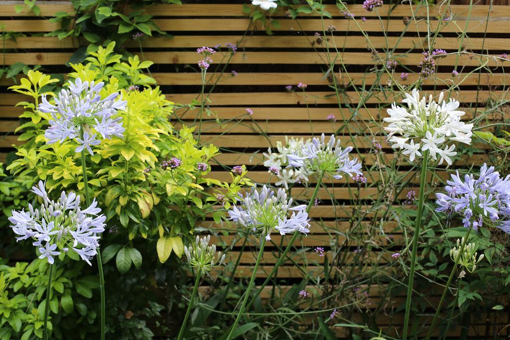 Shoreditch 1 With Garden Appartement Londres